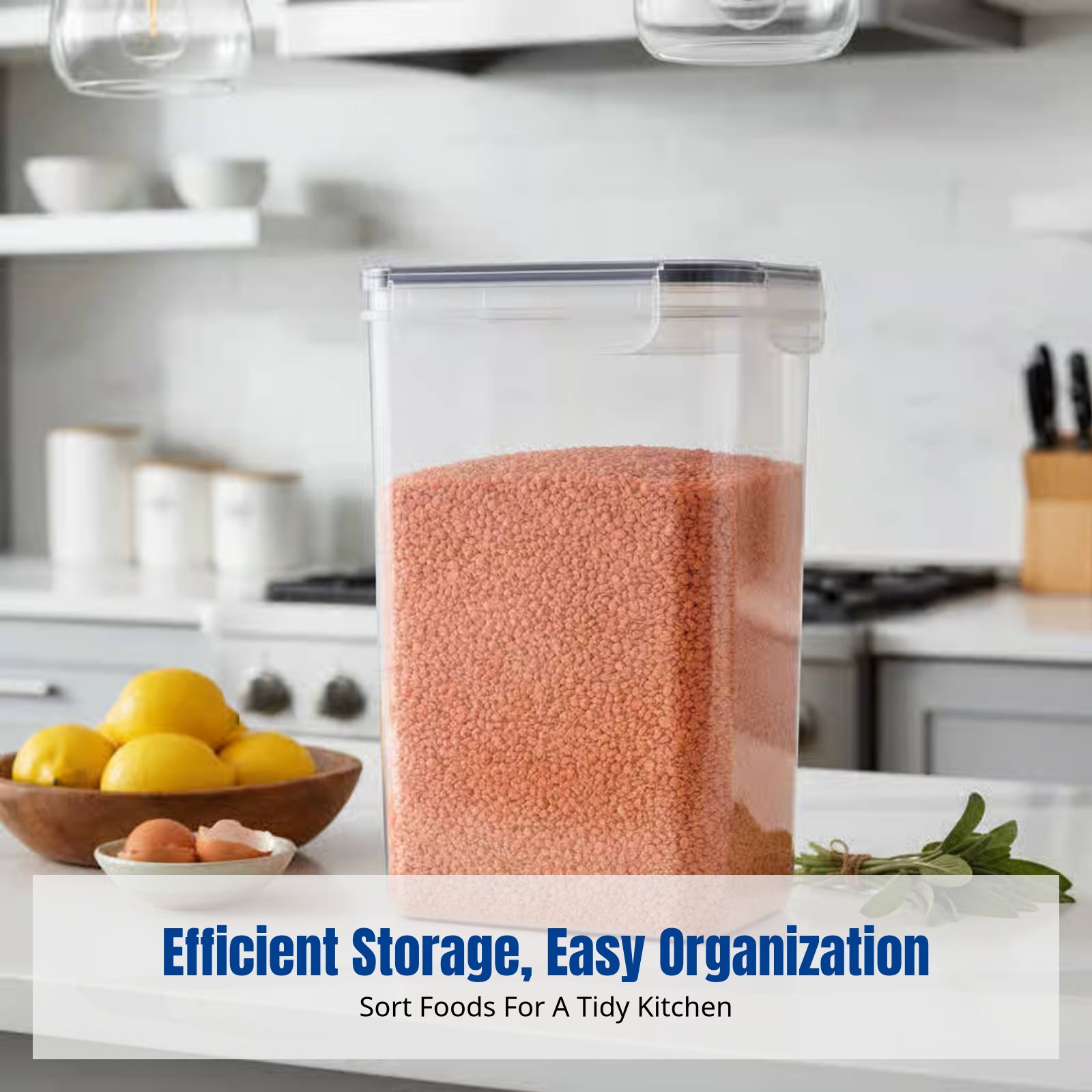 Food Storage Airtight - Airtight Food Storage Container Set, Large