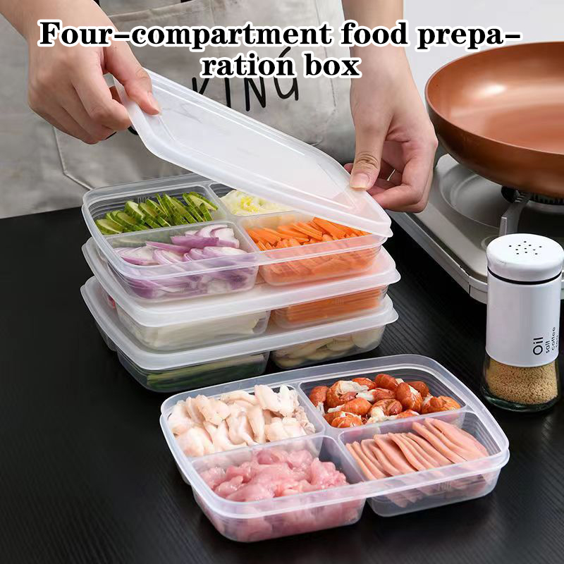 Food Storage Underground - New【4 Grids Plastic Storage Box Portable