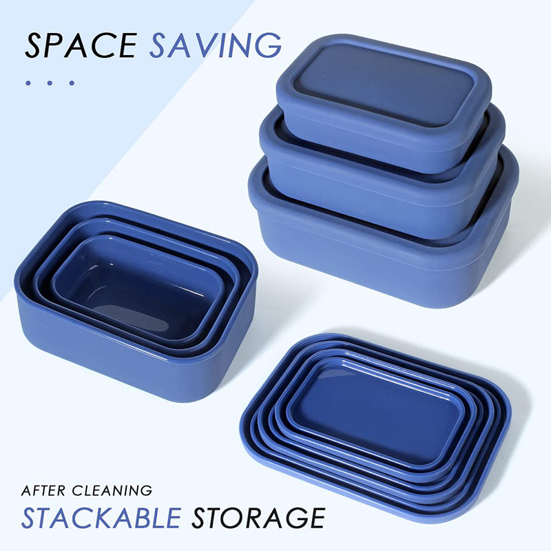 Food Storage 30 Years - Leak-Resistant Bento Lunch Box Reusable BPA-Free
