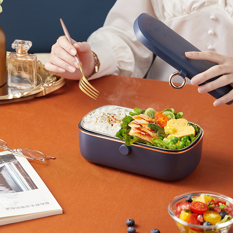 Electric Heating Lunch Box Sma - огляд і ціна Food Storage Reserve