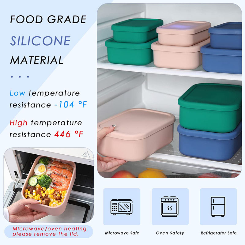 Leak-Resistant Bento Lunch Box - огляд і ціна Food Storage 30 Years